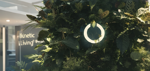 Mur végétal - exemple 2